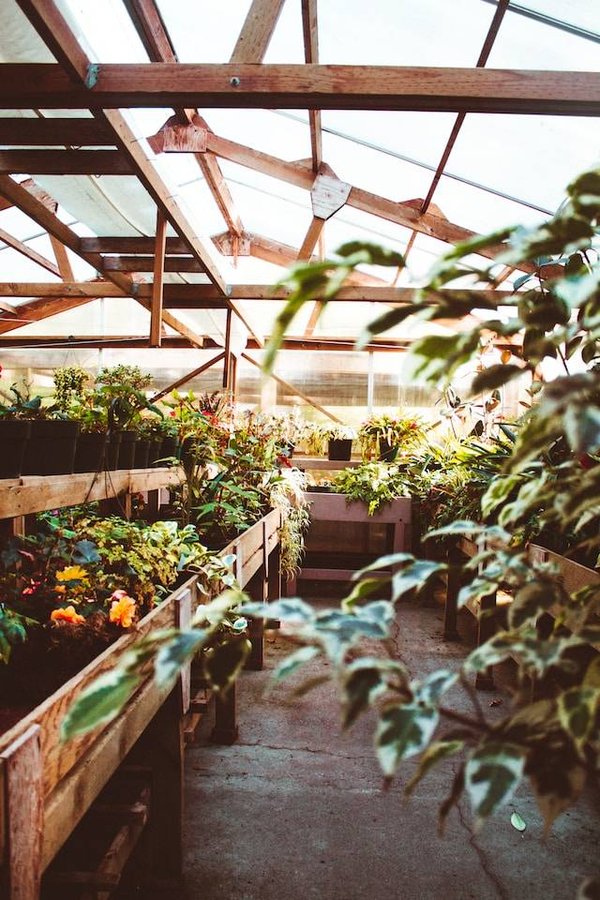 5 Projets de bricolage faciles et utiles pour le jardinage