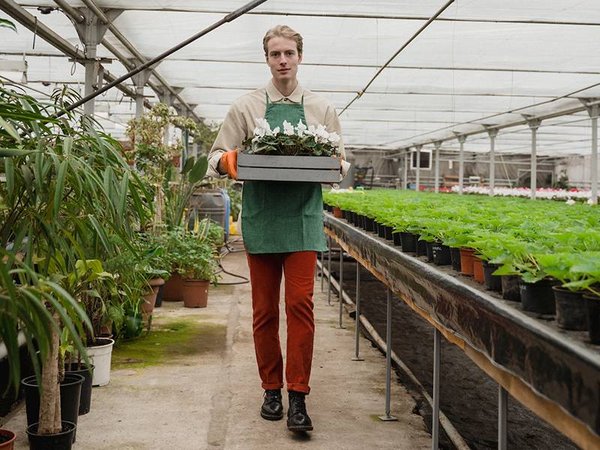 Jardins ouvriers : mode d'emploi
