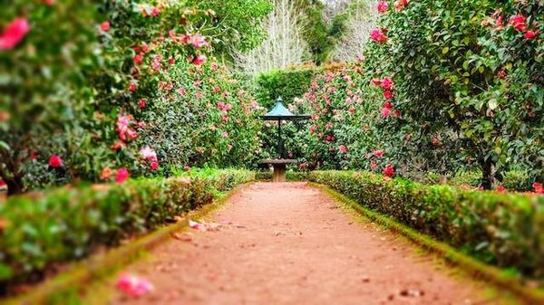 Les avantages et les inconvénients de la location de son jardin privé