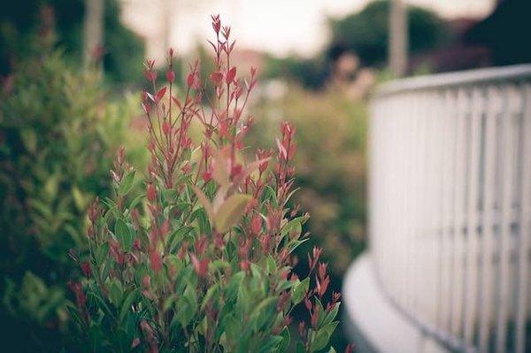Les conséquences juridiques de ne pas respecter les règles pour son jardin privé