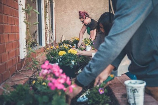 Comment réaliser des travaux dans son jardin privé sans se ruiner ?