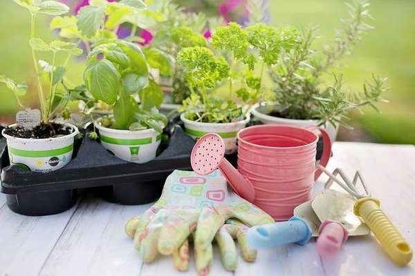 Les précautions à prendre et les erreurs à éviter lors de la réalisation de travaux dans son jardin