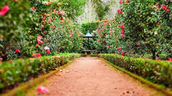 Serre de jardin : pourquoi et comment améliorer la qualité de vos sols et de vos cultures